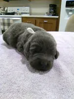 processed/ec22e147-1236-4d02-a60a-b0fcca1ffe1e/listing/2d52c585-57a9-4e29-ac86-50eb7c6438cc/7ee104da-29a3-4098-87ad-f0031484452c