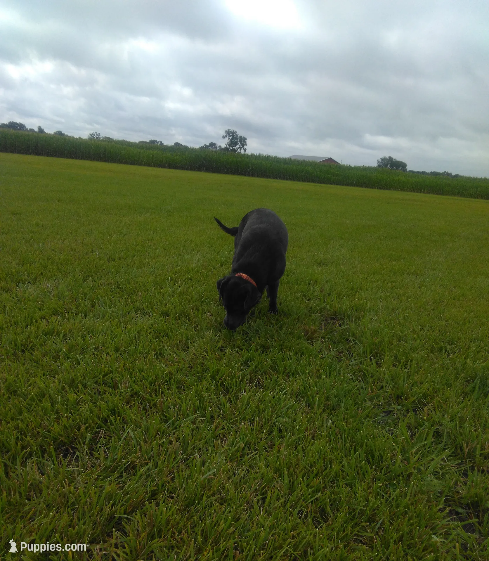 processed/ec22e147-1236-4d02-a60a-b0fcca1ffe1e/listing/2d52c585-57a9-4e29-ac86-50eb7c6438cc/87dd00d2-d9c3-4ff9-a3ef-dcac98fa6810