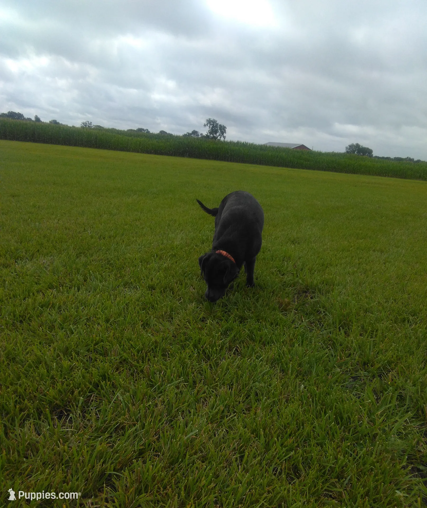 processed/ec22e147-1236-4d02-a60a-b0fcca1ffe1e/listing/85b5afd7-c149-4aab-b1a8-500082e2e0ad/0f06faca-37b3-47b4-bb9f-e466bb0cc936