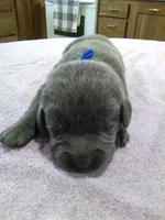 processed/ec22e147-1236-4d02-a60a-b0fcca1ffe1e/listing/85b5afd7-c149-4aab-b1a8-500082e2e0ad/c9ff101c-d285-4859-9a07-0dc125bc7d66