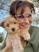 A-A-Ron AKA AARON, a male Cavapoo and Shorkie for sale in Elk River, MN – Photo 2 of 10