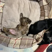 processed/ec291bbc-afe3-4c28-8407-01895f28a9cb/facility/03e7cb50-dc5a-4044-bf6b-3dafa3d4dc53