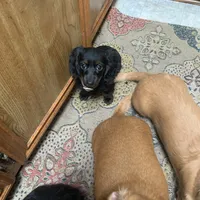 processed/ec291bbc-afe3-4c28-8407-01895f28a9cb/facility/29b45566-2a0e-4e2e-b567-b2a5c05803f4