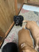 processed/ec291bbc-afe3-4c28-8407-01895f28a9cb/facility/29b45566-2a0e-4e2e-b567-b2a5c05803f4