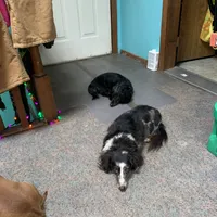 processed/ec291bbc-afe3-4c28-8407-01895f28a9cb/facility/516d3f0a-4a4d-446e-addb-4b4fdd3379a0