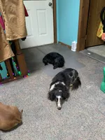 processed/ec291bbc-afe3-4c28-8407-01895f28a9cb/facility/516d3f0a-4a4d-446e-addb-4b4fdd3379a0