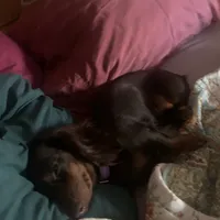 processed/ec291bbc-afe3-4c28-8407-01895f28a9cb/facility/680b63a0-e090-4bf5-8875-1b96c4f43748