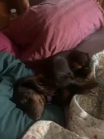 processed/ec291bbc-afe3-4c28-8407-01895f28a9cb/facility/680b63a0-e090-4bf5-8875-1b96c4f43748