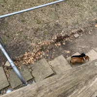 processed/ec291bbc-afe3-4c28-8407-01895f28a9cb/facility/856be270-02a5-45df-8145-45521ed410e6