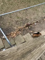 processed/ec291bbc-afe3-4c28-8407-01895f28a9cb/facility/856be270-02a5-45df-8145-45521ed410e6