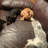 processed/ec291bbc-afe3-4c28-8407-01895f28a9cb/facility/93c99c68-b306-4646-945c-bb1a5470d38b