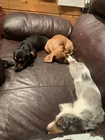 processed/ec291bbc-afe3-4c28-8407-01895f28a9cb/facility/93c99c68-b306-4646-945c-bb1a5470d38b