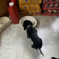 processed/ec291bbc-afe3-4c28-8407-01895f28a9cb/facility/9836260c-ed2b-4d49-a9eb-a8926038c00c