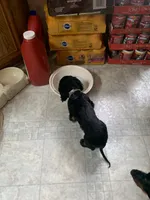 processed/ec291bbc-afe3-4c28-8407-01895f28a9cb/facility/9836260c-ed2b-4d49-a9eb-a8926038c00c