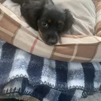 processed/ec291bbc-afe3-4c28-8407-01895f28a9cb/facility/e3344790-6f6d-43bb-85d3-55da9f3b324a