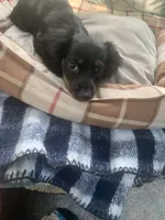 processed/ec291bbc-afe3-4c28-8407-01895f28a9cb/facility/e3344790-6f6d-43bb-85d3-55da9f3b324a