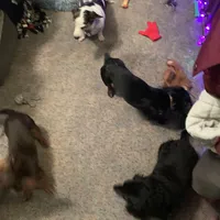 processed/ec291bbc-afe3-4c28-8407-01895f28a9cb/facility/efbb3d6a-3d8f-44ff-a8b0-5cf51f051969