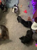 processed/ec291bbc-afe3-4c28-8407-01895f28a9cb/facility/efbb3d6a-3d8f-44ff-a8b0-5cf51f051969