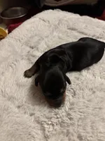 processed/ec291bbc-afe3-4c28-8407-01895f28a9cb/listing/4539cbda-b438-42c3-b1c7-e4b3fff10564/15476a83-3c62-49ef-bdae-ce1c596b737f