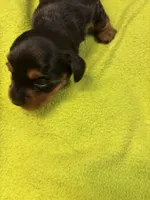 processed/ec291bbc-afe3-4c28-8407-01895f28a9cb/listing/4539cbda-b438-42c3-b1c7-e4b3fff10564/2da44329-b3c2-49db-b114-cda455a2011f