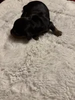 processed/ec291bbc-afe3-4c28-8407-01895f28a9cb/listing/4539cbda-b438-42c3-b1c7-e4b3fff10564/631f6bae-61a4-4e2d-b7cf-9ab97e41d89e