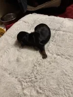 processed/ec291bbc-afe3-4c28-8407-01895f28a9cb/listing/4539cbda-b438-42c3-b1c7-e4b3fff10564/6fe0335b-db99-4fc5-989e-0d66c5790d73