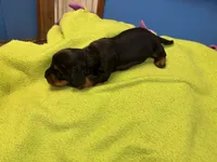 processed/ec291bbc-afe3-4c28-8407-01895f28a9cb/listing/4539cbda-b438-42c3-b1c7-e4b3fff10564/8c8ef3a1-ba76-40f1-a5d9-8fde0a740785