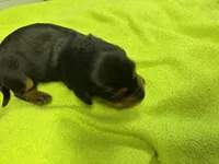 processed/ec291bbc-afe3-4c28-8407-01895f28a9cb/listing/4539cbda-b438-42c3-b1c7-e4b3fff10564/910396ae-4824-4665-9208-b6e70ea1328e