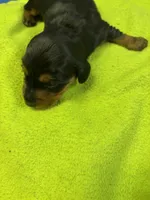 processed/ec291bbc-afe3-4c28-8407-01895f28a9cb/listing/4539cbda-b438-42c3-b1c7-e4b3fff10564/9f9590a1-a720-4e38-aaaa-99488c094cf7