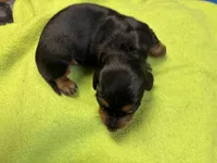 processed/ec291bbc-afe3-4c28-8407-01895f28a9cb/listing/4539cbda-b438-42c3-b1c7-e4b3fff10564/e63a02c4-0030-4a5c-8e68-6d57b4993f03