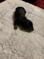 processed/ec291bbc-afe3-4c28-8407-01895f28a9cb/listing/4539cbda-b438-42c3-b1c7-e4b3fff10564/f7d0e9ed-d35e-4460-b9c4-9d0897431a03