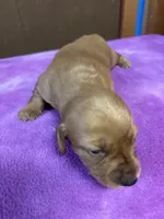 processed/ec291bbc-afe3-4c28-8407-01895f28a9cb/listing/556f37f4-cdad-42b8-8a51-3f8f366b842e/286edfa5-97ec-4050-8165-649f623fbee4