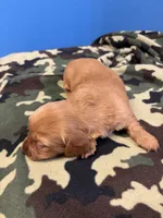 processed/ec291bbc-afe3-4c28-8407-01895f28a9cb/listing/556f37f4-cdad-42b8-8a51-3f8f366b842e/68cffef6-0f3d-4425-aa8b-1fa179e901e0