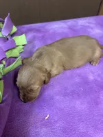 processed/ec291bbc-afe3-4c28-8407-01895f28a9cb/listing/556f37f4-cdad-42b8-8a51-3f8f366b842e/8e154a1c-65f5-4dd0-b8b7-eb5584407a60