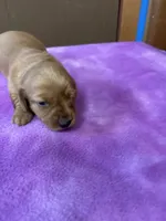 processed/ec291bbc-afe3-4c28-8407-01895f28a9cb/listing/556f37f4-cdad-42b8-8a51-3f8f366b842e/921986fa-4f0f-452e-b086-b5898076a3df