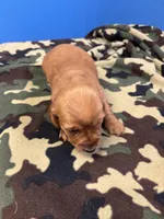 processed/ec291bbc-afe3-4c28-8407-01895f28a9cb/listing/556f37f4-cdad-42b8-8a51-3f8f366b842e/a9dca60b-e1be-406c-8c77-78e7c5928d79