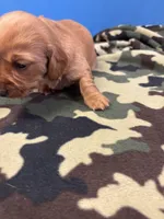 processed/ec291bbc-afe3-4c28-8407-01895f28a9cb/listing/556f37f4-cdad-42b8-8a51-3f8f366b842e/c747f3cd-d811-4ac3-b1b9-a7847fd11fc0