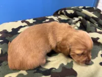 processed/ec291bbc-afe3-4c28-8407-01895f28a9cb/listing/556f37f4-cdad-42b8-8a51-3f8f366b842e/dbab5416-66df-4e61-9bf4-ab2bc6a219ab