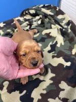 processed/ec291bbc-afe3-4c28-8407-01895f28a9cb/listing/556f37f4-cdad-42b8-8a51-3f8f366b842e/f7ddea10-391e-48d4-a19f-0d93943065e3