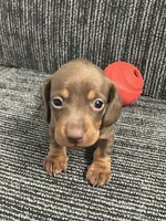 processed/ec3ef933-4ed3-4099-9c11-a69077b91647/listing/a50d5313-292d-4e51-a776-9db7bd94bbad/2d523a44-00dd-453f-b8b0-5561a2c74368