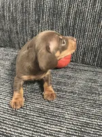 processed/ec3ef933-4ed3-4099-9c11-a69077b91647/listing/a50d5313-292d-4e51-a776-9db7bd94bbad/90e5a04c-6cf6-4893-ad57-5c2e1efd659e