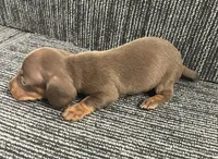 processed/ec3ef933-4ed3-4099-9c11-a69077b91647/listing/a50d5313-292d-4e51-a776-9db7bd94bbad/99afa33c-cc63-4e58-aaaa-4ff64966bba7