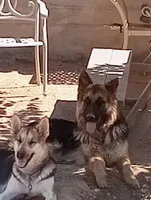 processed/ec3faafc-c6f9-4220-a488-80a97b6b868a/facility/f45fbe41-f1d6-4cd8-b5f4-6b02dcdd35d5