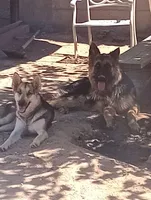 processed/ec3faafc-c6f9-4220-a488-80a97b6b868a/facility/f6cd5a00-67c7-40bd-80b9-5d572c4f503b