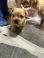 processed/ec5ca6b8-2903-4055-b1e8-003ccb9bdc33/listing/f092e86b-ac8c-4ea5-aa28-08d54158ac0a/495aced8-9da4-4a7e-a327-84125f87c472