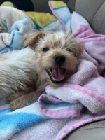 processed/ec5ca6b8-2903-4055-b1e8-003ccb9bdc33/listing/f092e86b-ac8c-4ea5-aa28-08d54158ac0a/9540bb67-55f1-4ccb-ad10-24ab80598859