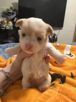 processed/ec5ca6b8-2903-4055-b1e8-003ccb9bdc33/listing/f41b87ff-bec0-40d5-ba6e-b22d0c3d5fbb/72a20557-6567-4b42-91ba-e356b1dfdd95