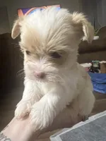 processed/ec5ca6b8-2903-4055-b1e8-003ccb9bdc33/listing/f41b87ff-bec0-40d5-ba6e-b22d0c3d5fbb/76e5a779-5b53-4e4f-9609-310bab7aa86d