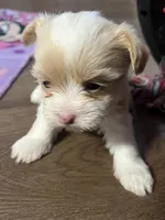 processed/ec5ca6b8-2903-4055-b1e8-003ccb9bdc33/listing/f41b87ff-bec0-40d5-ba6e-b22d0c3d5fbb/bab0af5a-e0b8-473b-852c-dcc20905417f