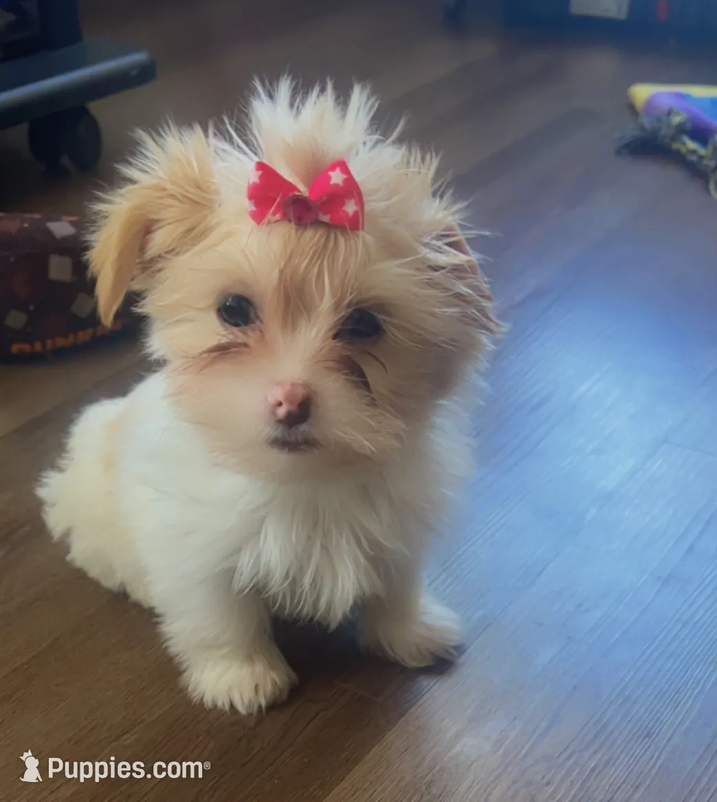 processed/ec5ca6b8-2903-4055-b1e8-003ccb9bdc33/listing/f41b87ff-bec0-40d5-ba6e-b22d0c3d5fbb/d9aca5c1-0614-41a8-8c79-039c2fa74112